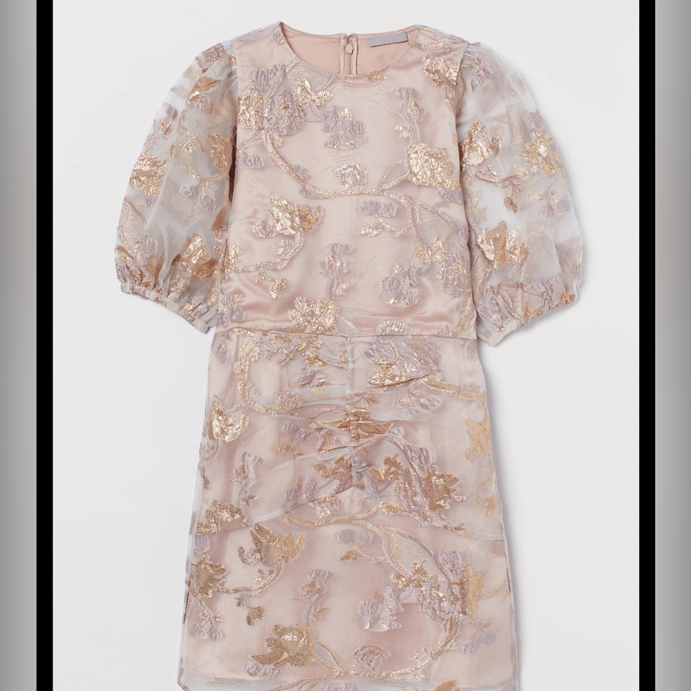H&M Floral Embroidered Mini Dress - Pink and Gold